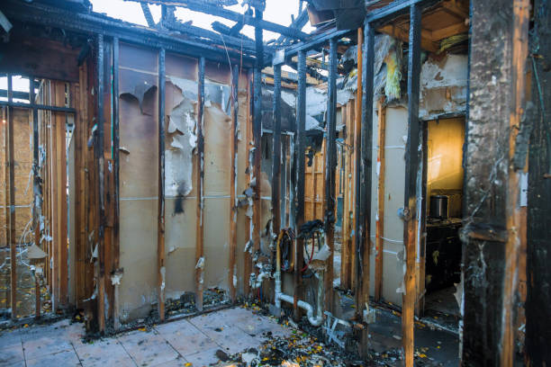 Professional Odor Removal technician working in Urania, LA